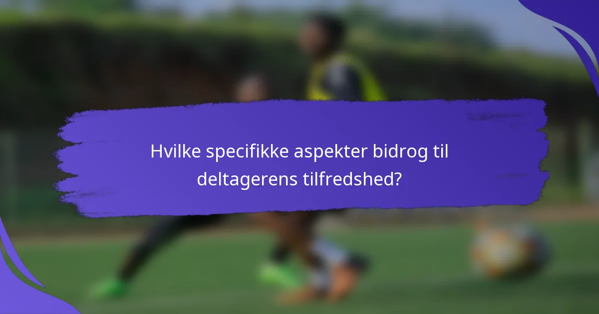 Hvilke specifikke aspekter bidrog til deltagerens tilfredshed?